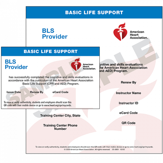 BLS Certification